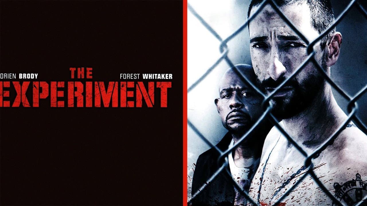 The Experiment still 7