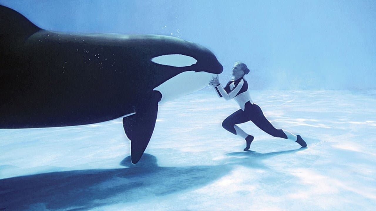 Blackfish still 3