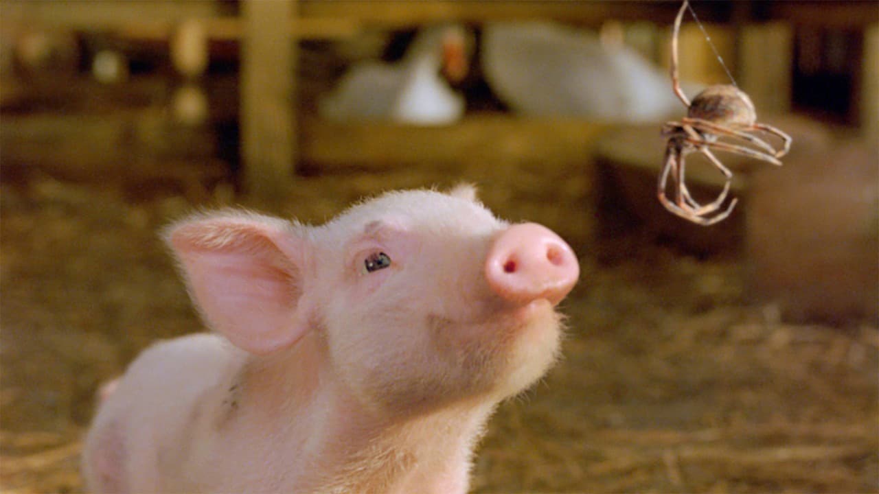 Charlotte's Web still 3