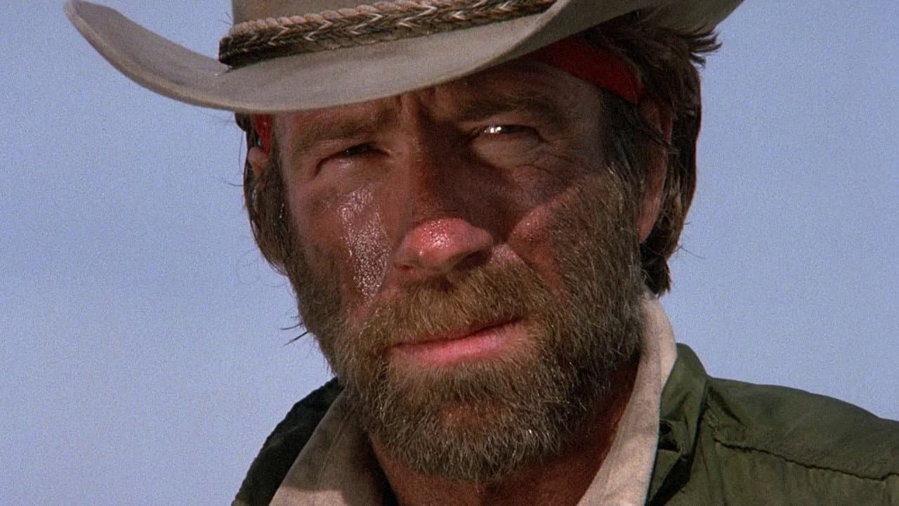 Lone Wolf McQuade still 8