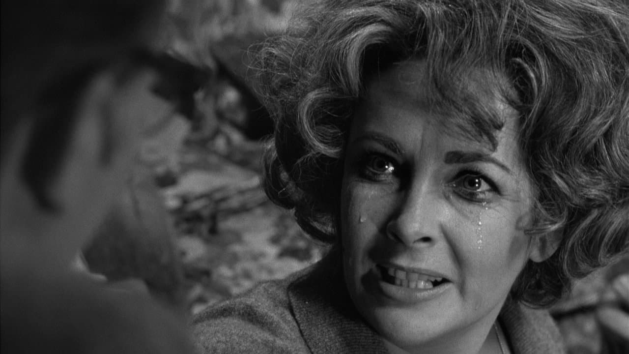 Who's Afraid of Virginia Woolf? still 6