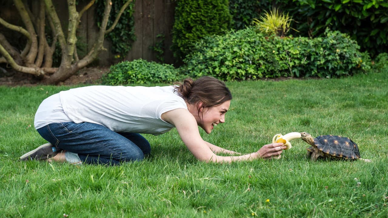 Laggies still 2