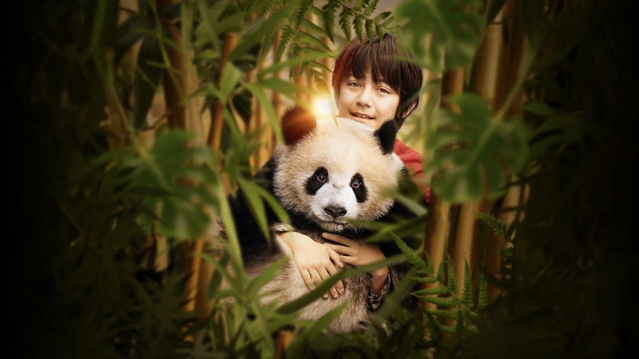 Moon the Panda still 1