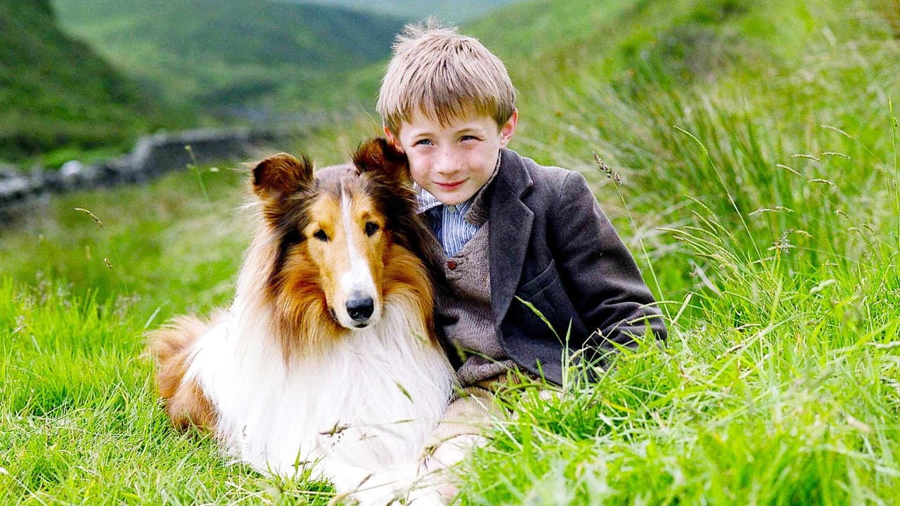 Lassie still 3