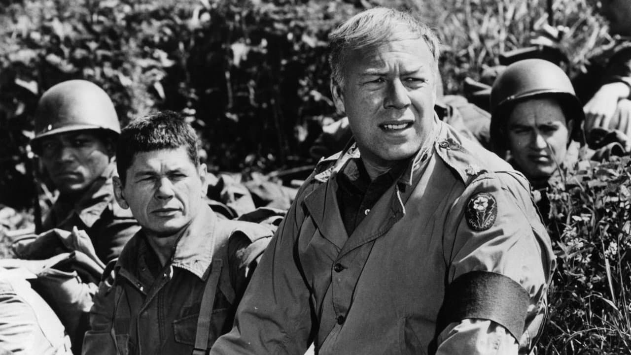 The Dirty Dozen still 7