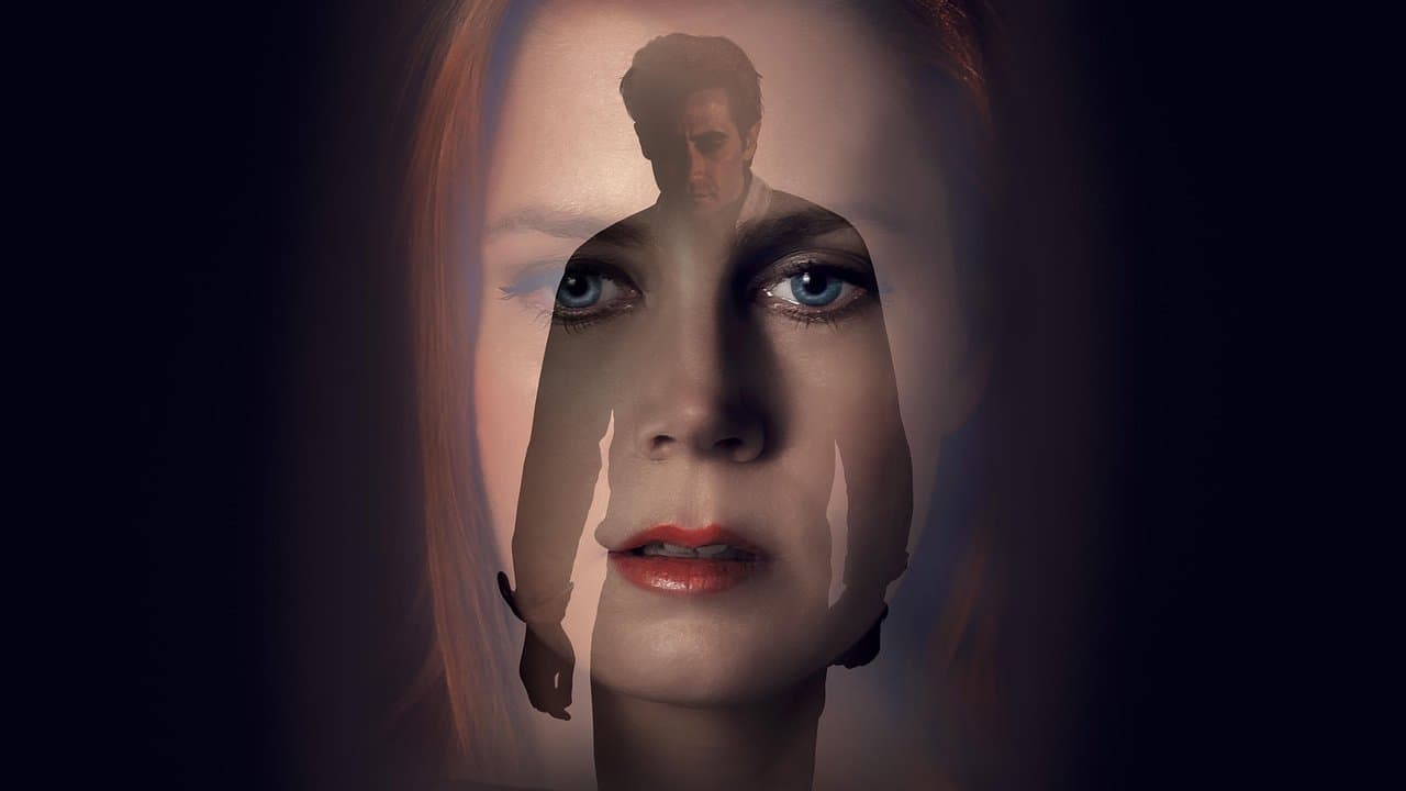Nocturnal Animals still 2