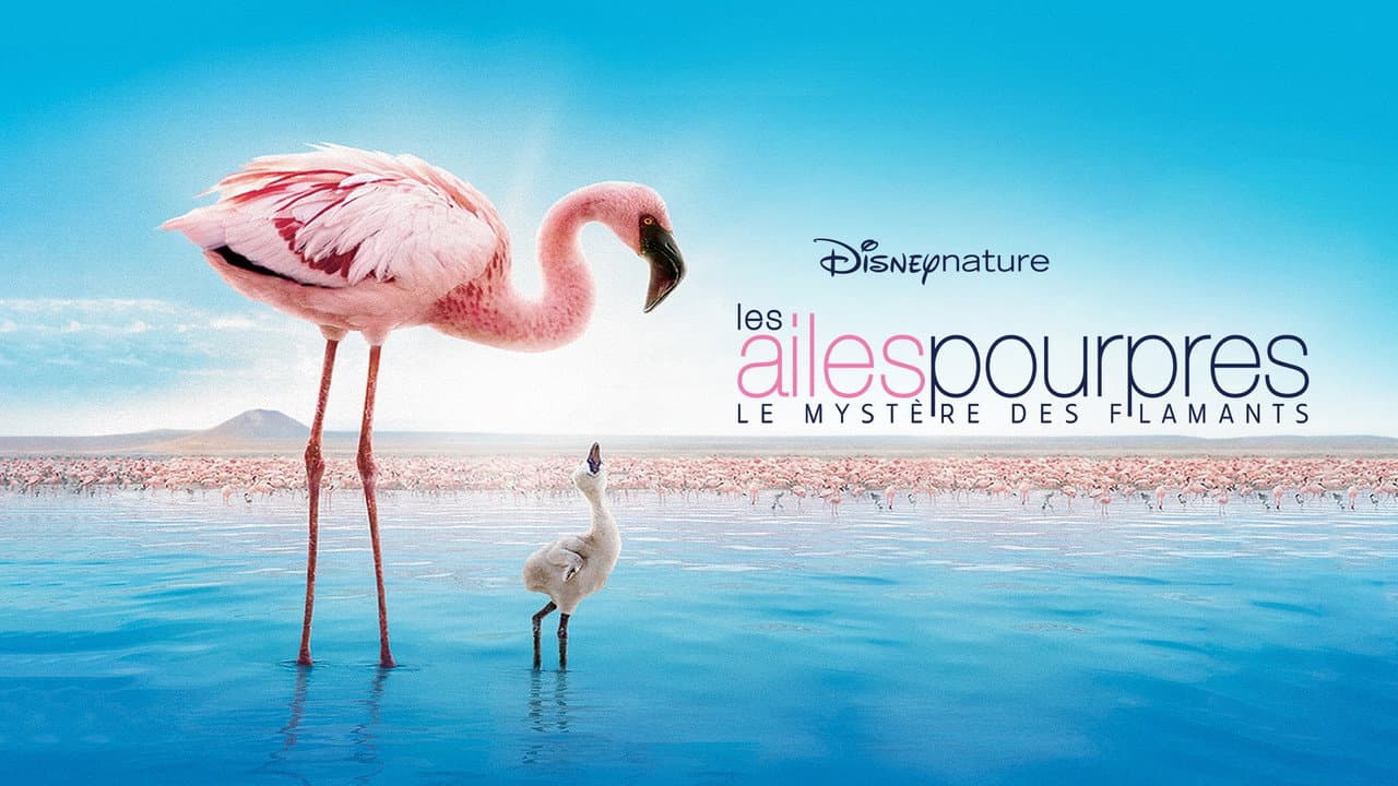 The Crimson Wing: Mystery of the Flamingos still 4
