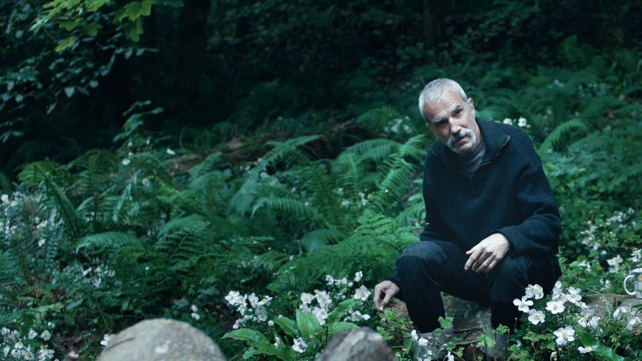 Anemone still 6