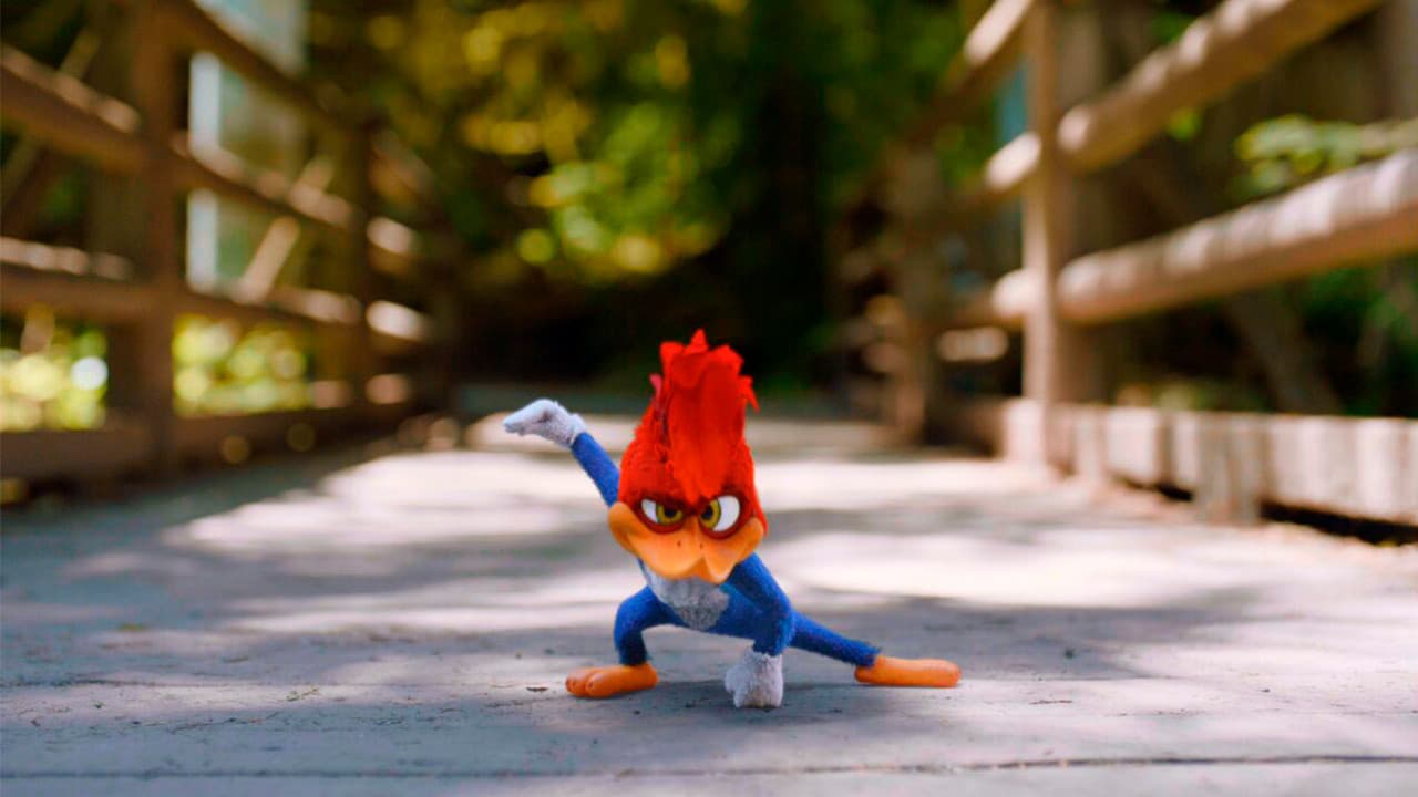 Woody Woodpecker still 4