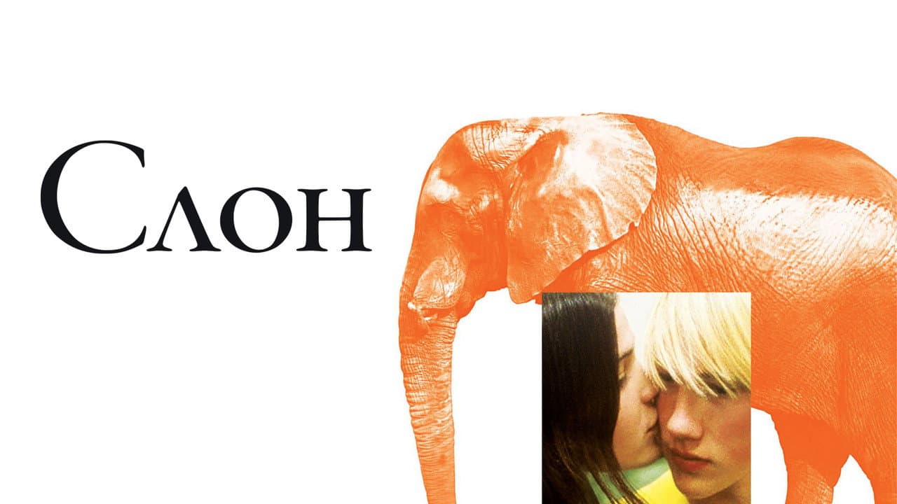 Elephant still 2