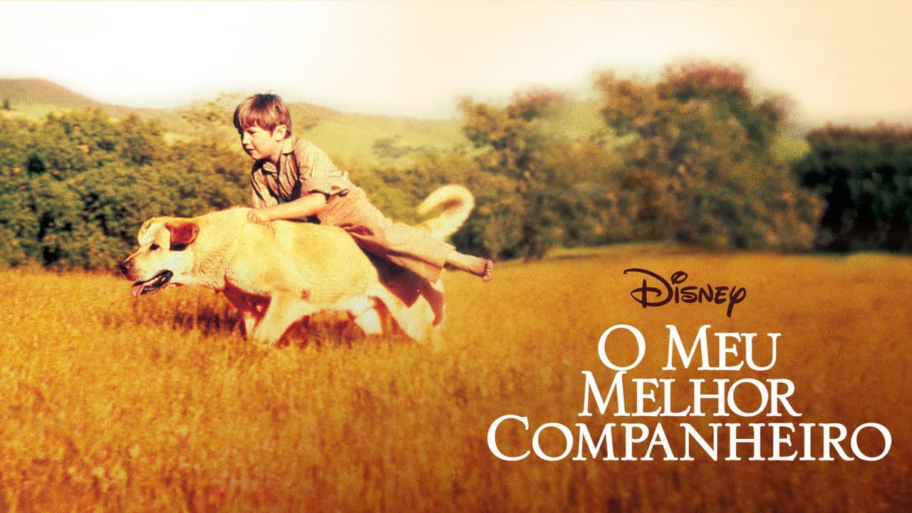 Old Yeller still 4