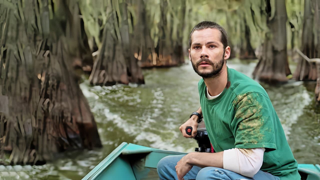 Caddo Lake still 3