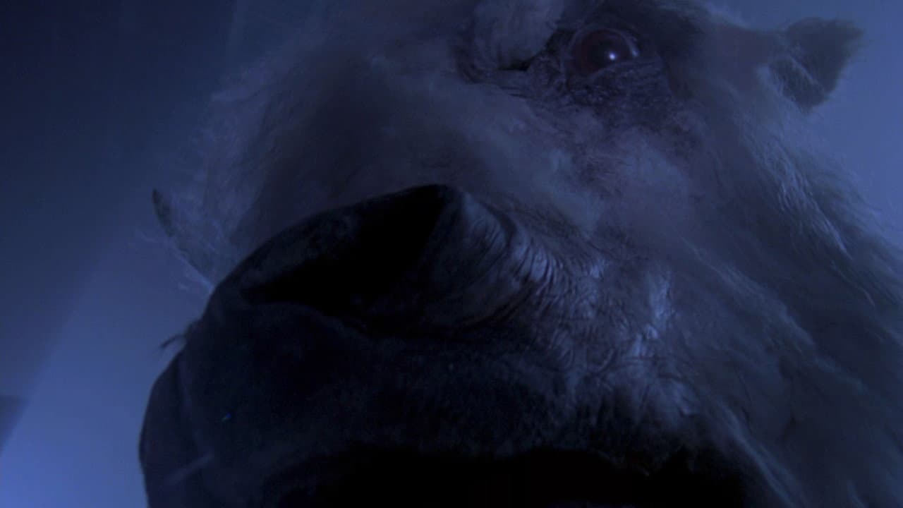 The White Buffalo still 2