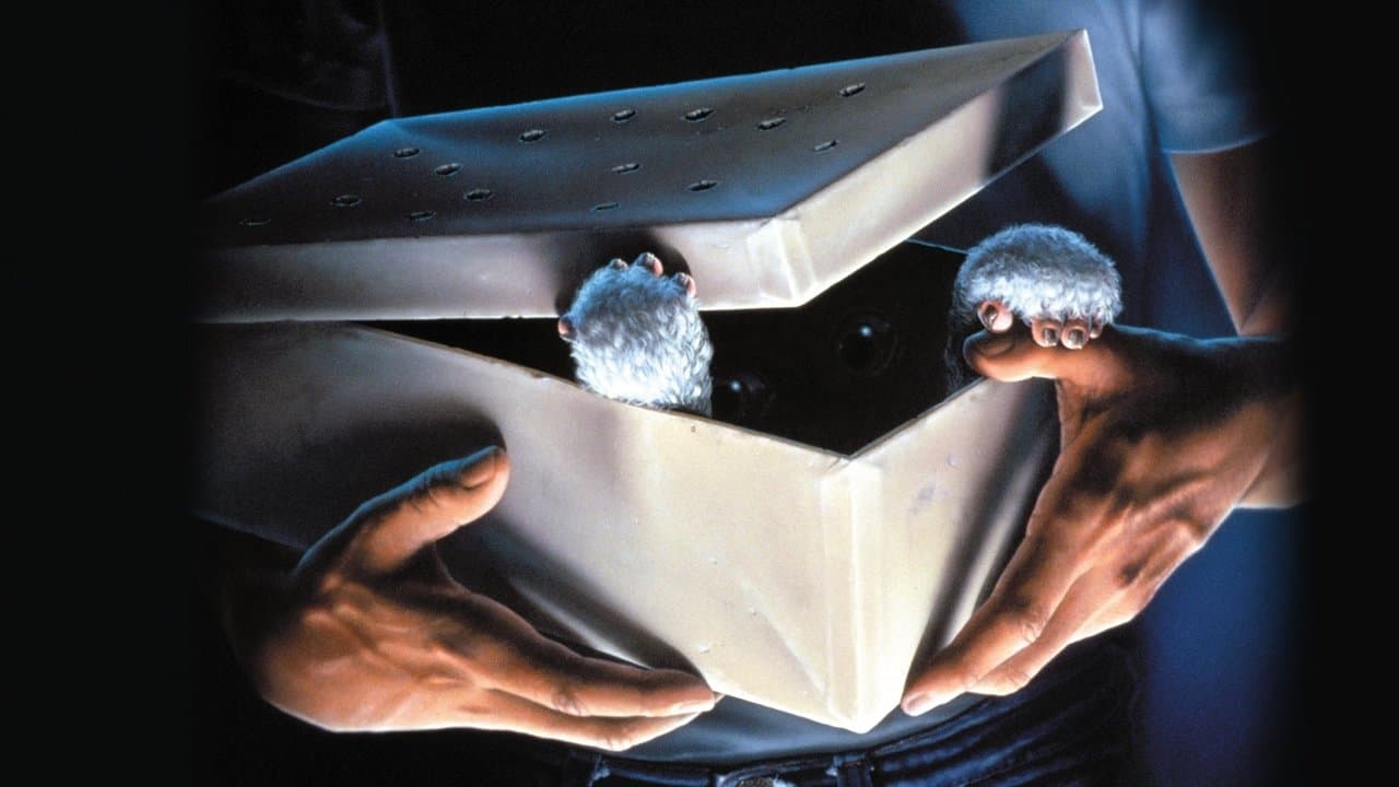 Gremlins still 2
