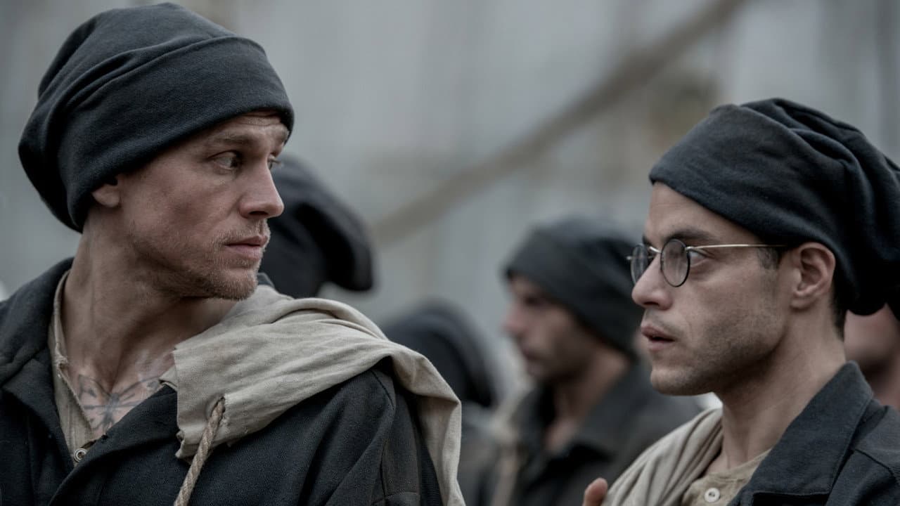 Papillon still 6