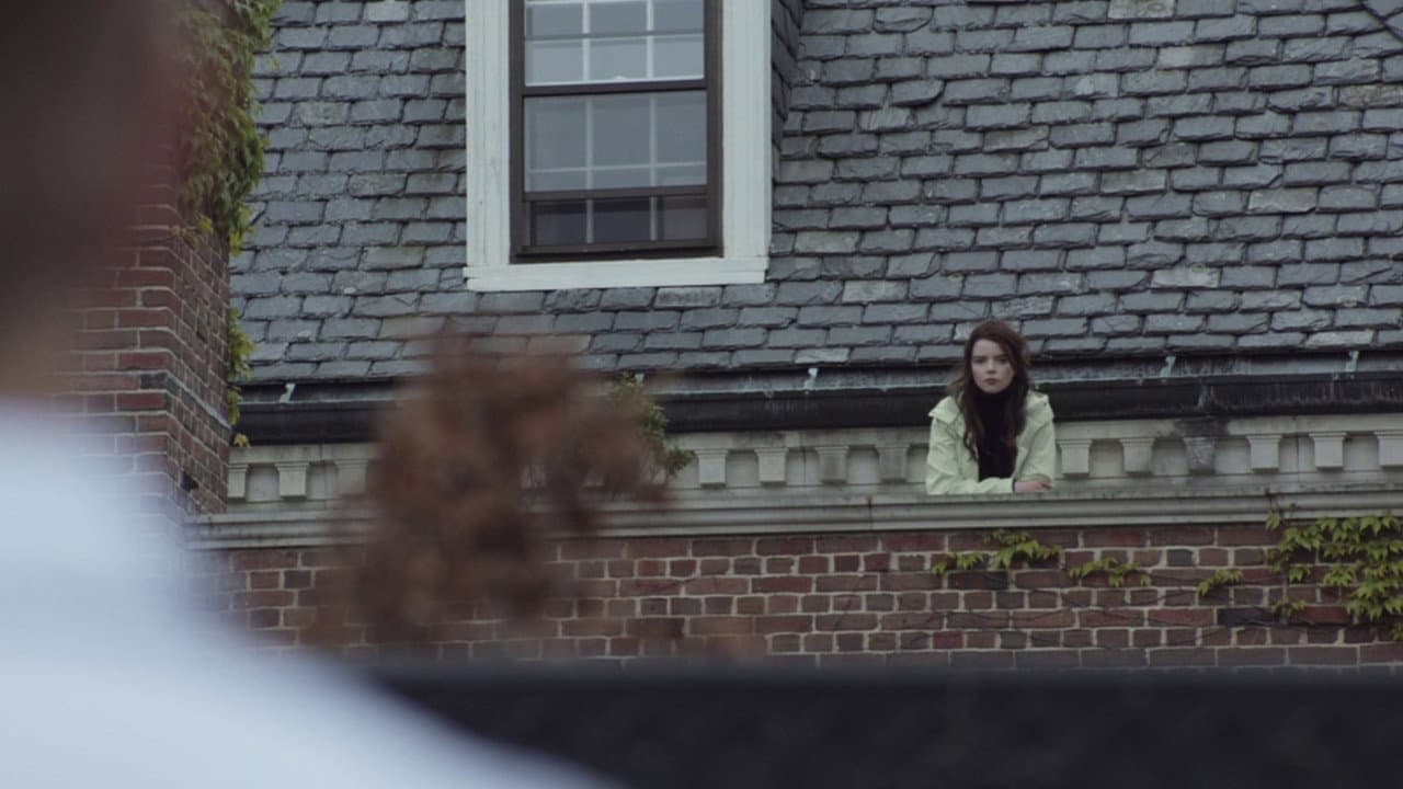 Thoroughbreds still 5