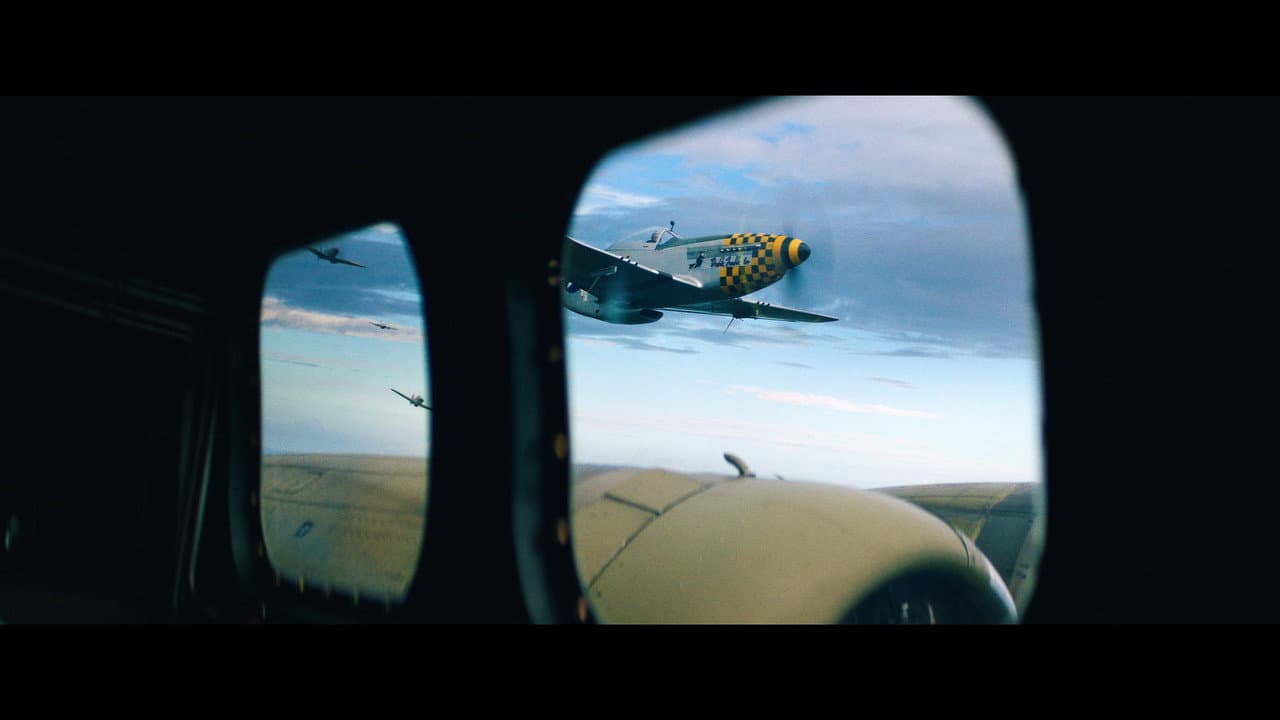 Wolf Hound still 7