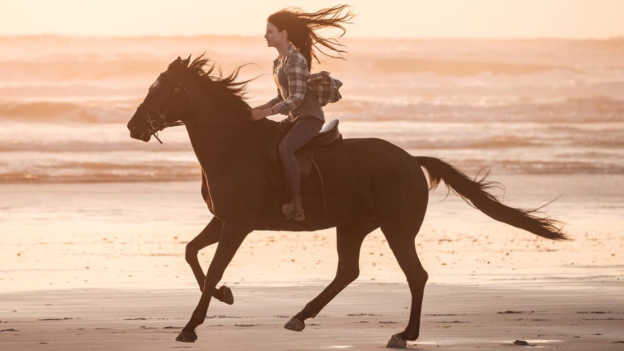 Black Beauty still 8