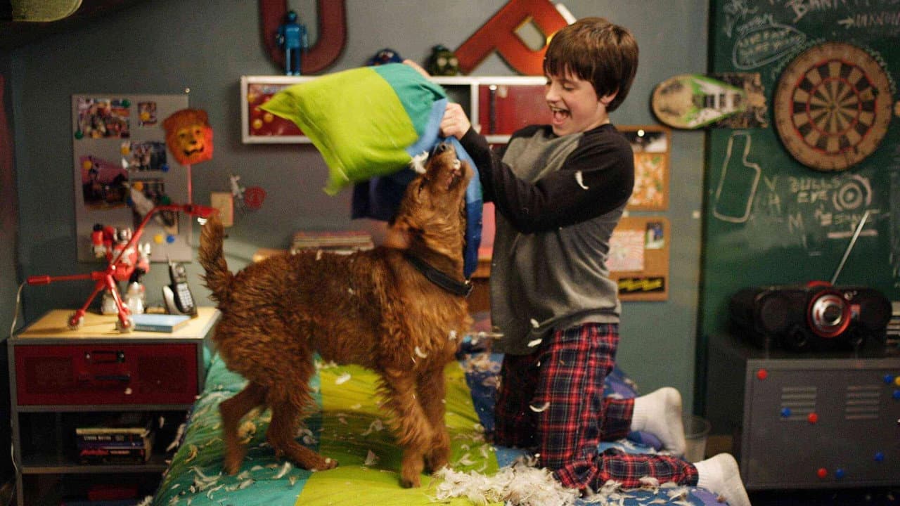 Firehouse Dog still 8