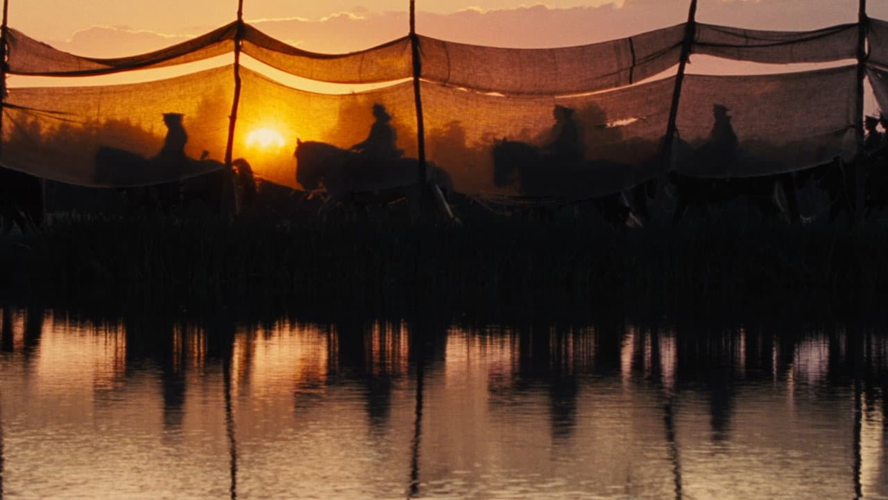 War Horse still 4