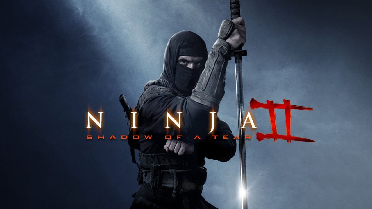 Ninja: Shadow of a Tear still 7