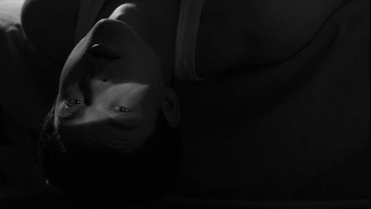 Tetro still 5