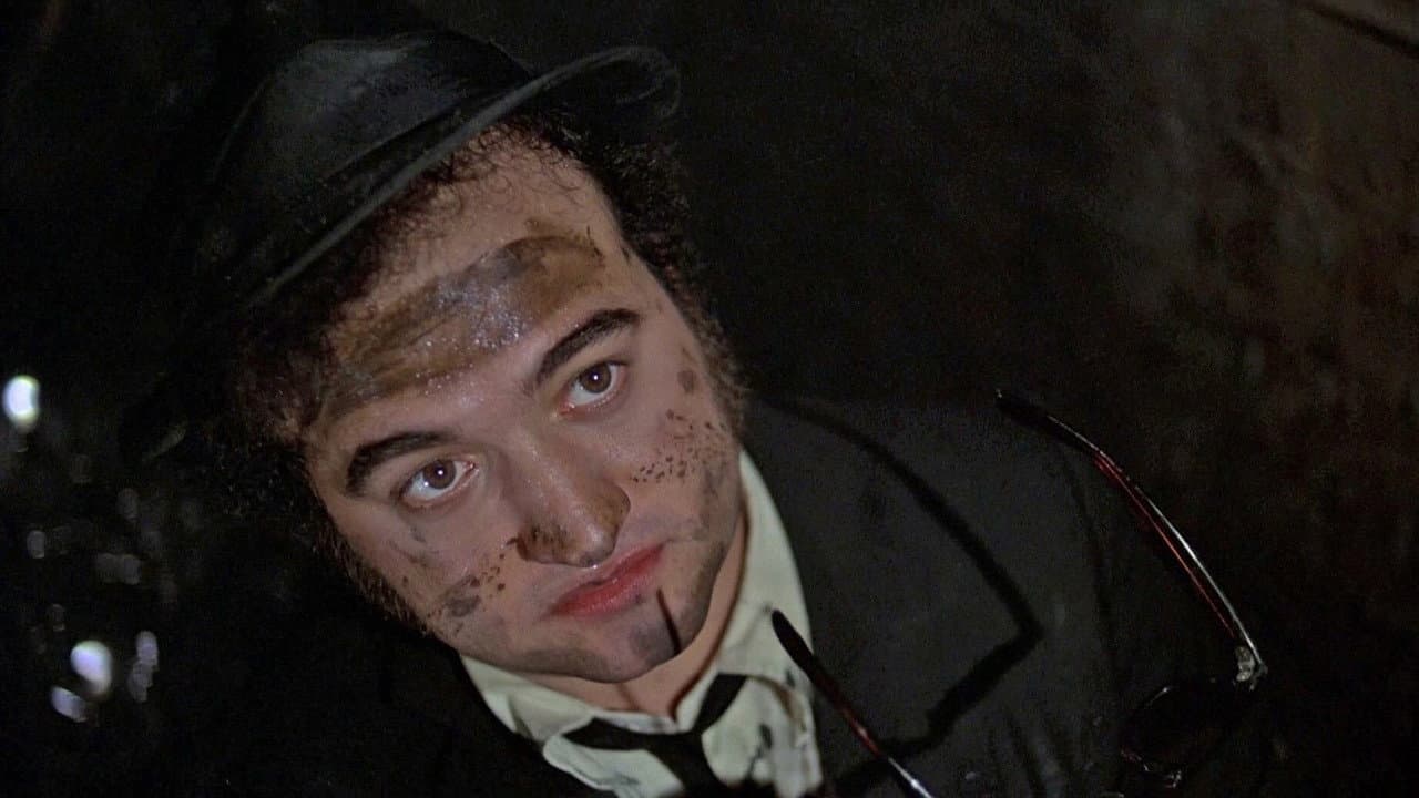 The Blues Brothers still 7