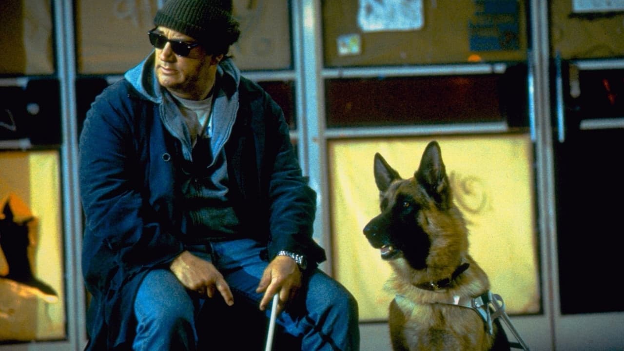 K-9: P.I. still 4