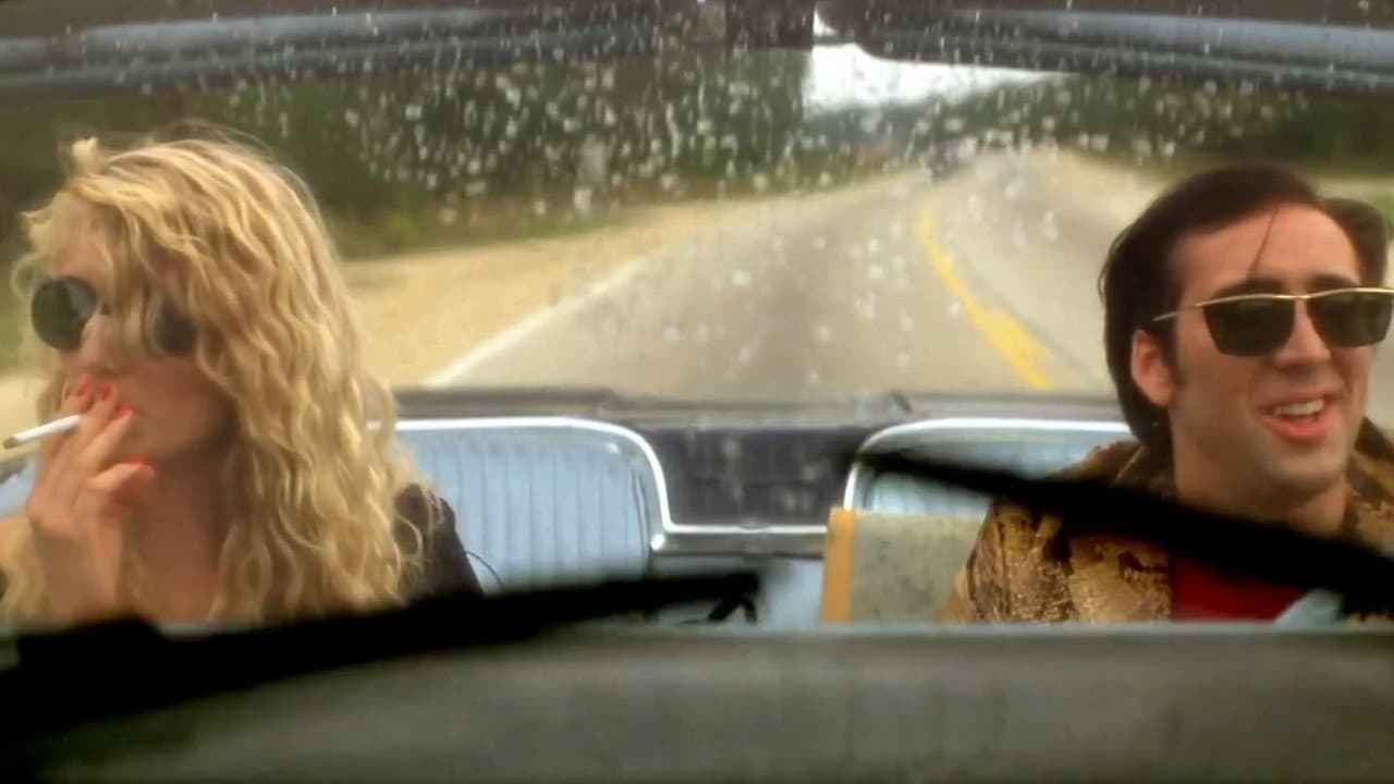 Wild at Heart still 6