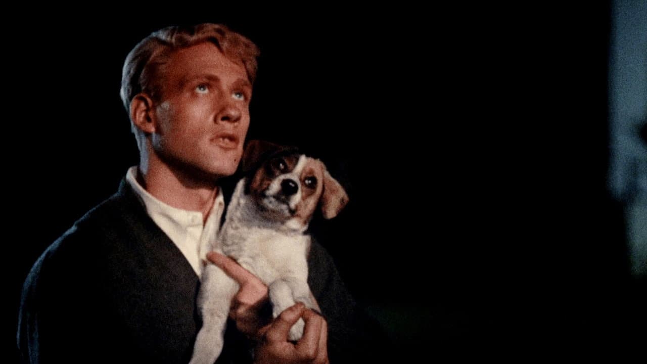 Slaughterhouse-Five still 3