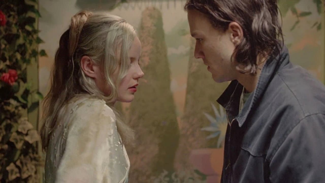 Candy still 8