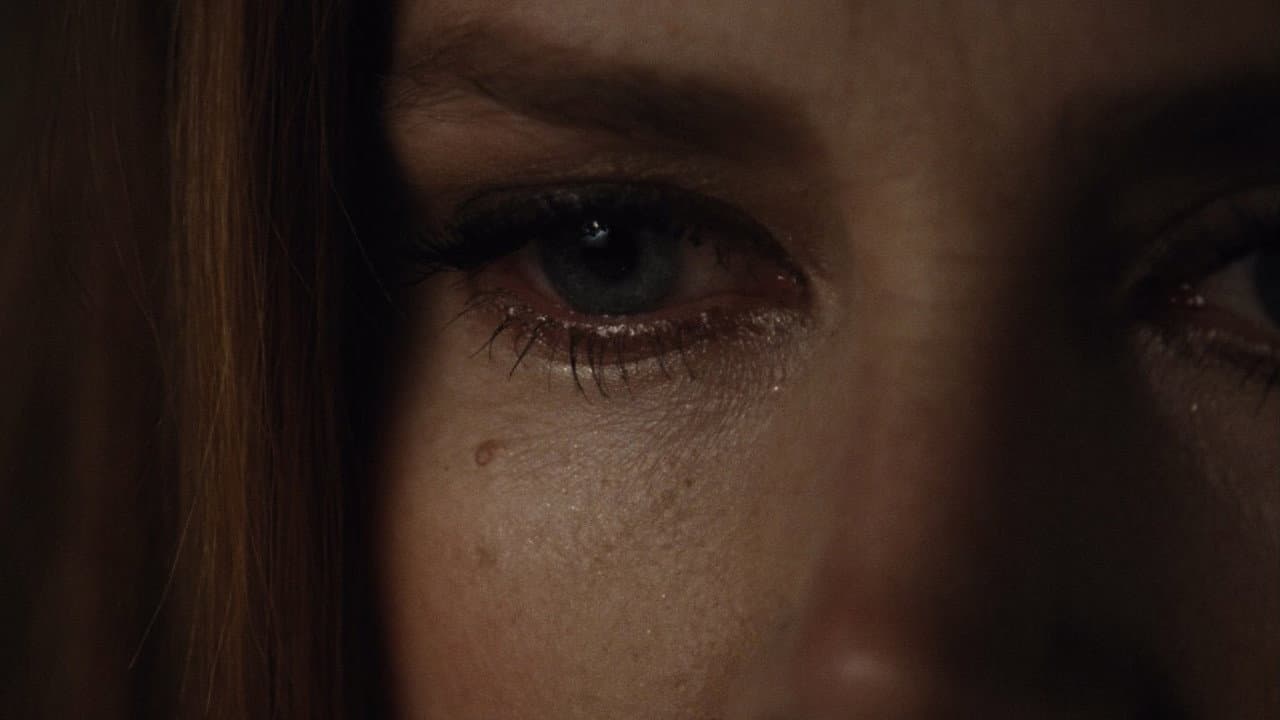 Nocturnal Animals still 3