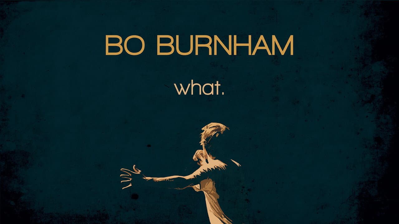 Bo Burnham: What. still 6