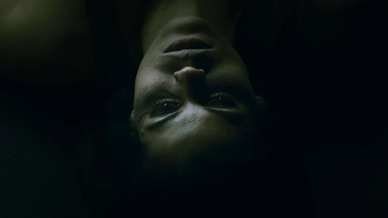 Circle still 8