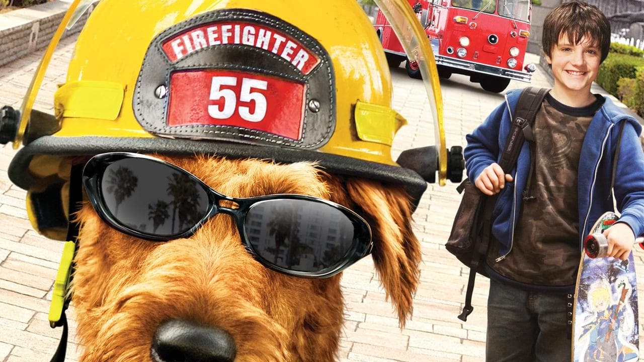Firehouse Dog still 1