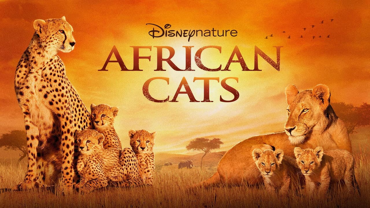 African Cats still 3