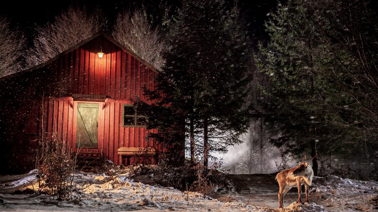 Prancer: A Christmas Tale still 2