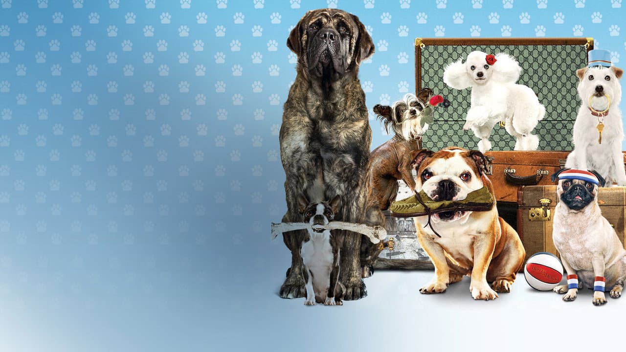 Hotel for Dogs still 8