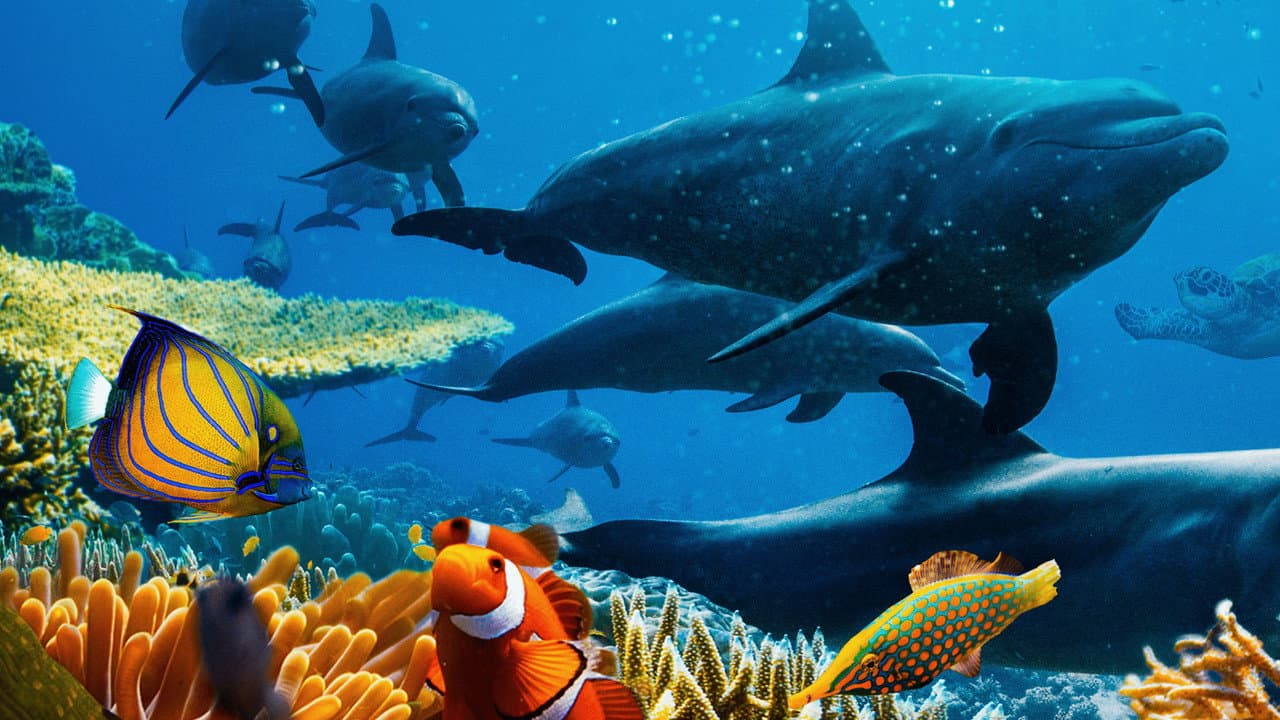 Ocean with David Attenborough still 2