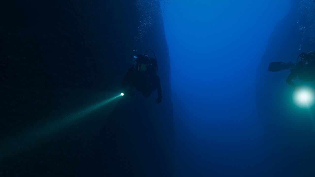 The Dive still 8