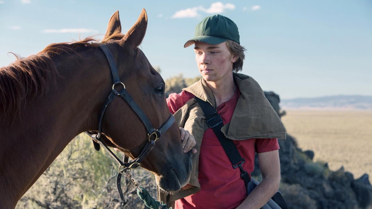 Lean on Pete still 4