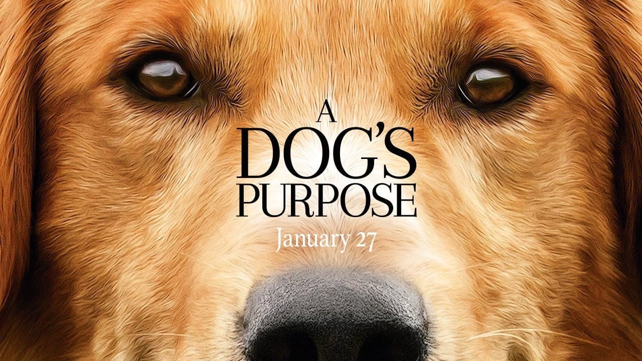 A Dog's Purpose still 8