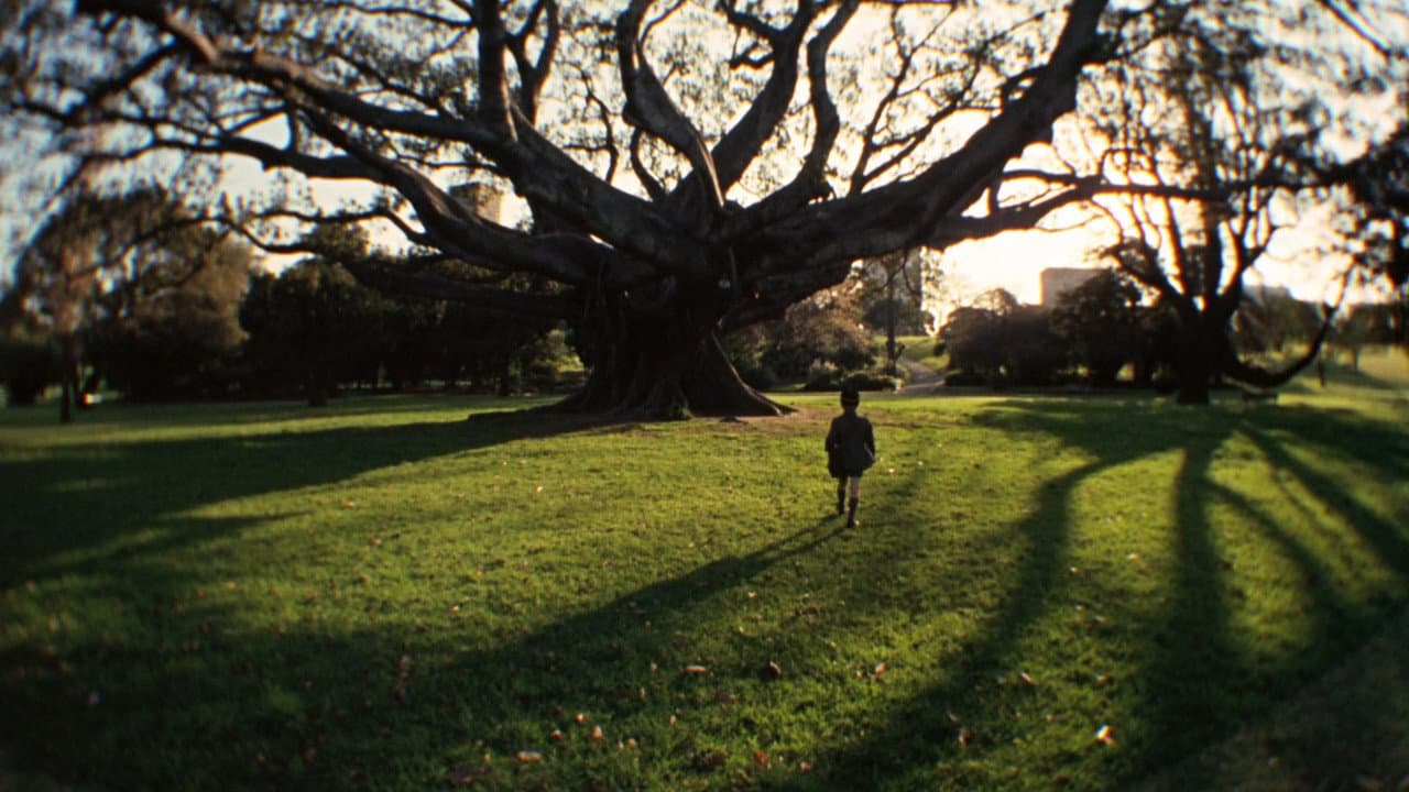 Walkabout still 4