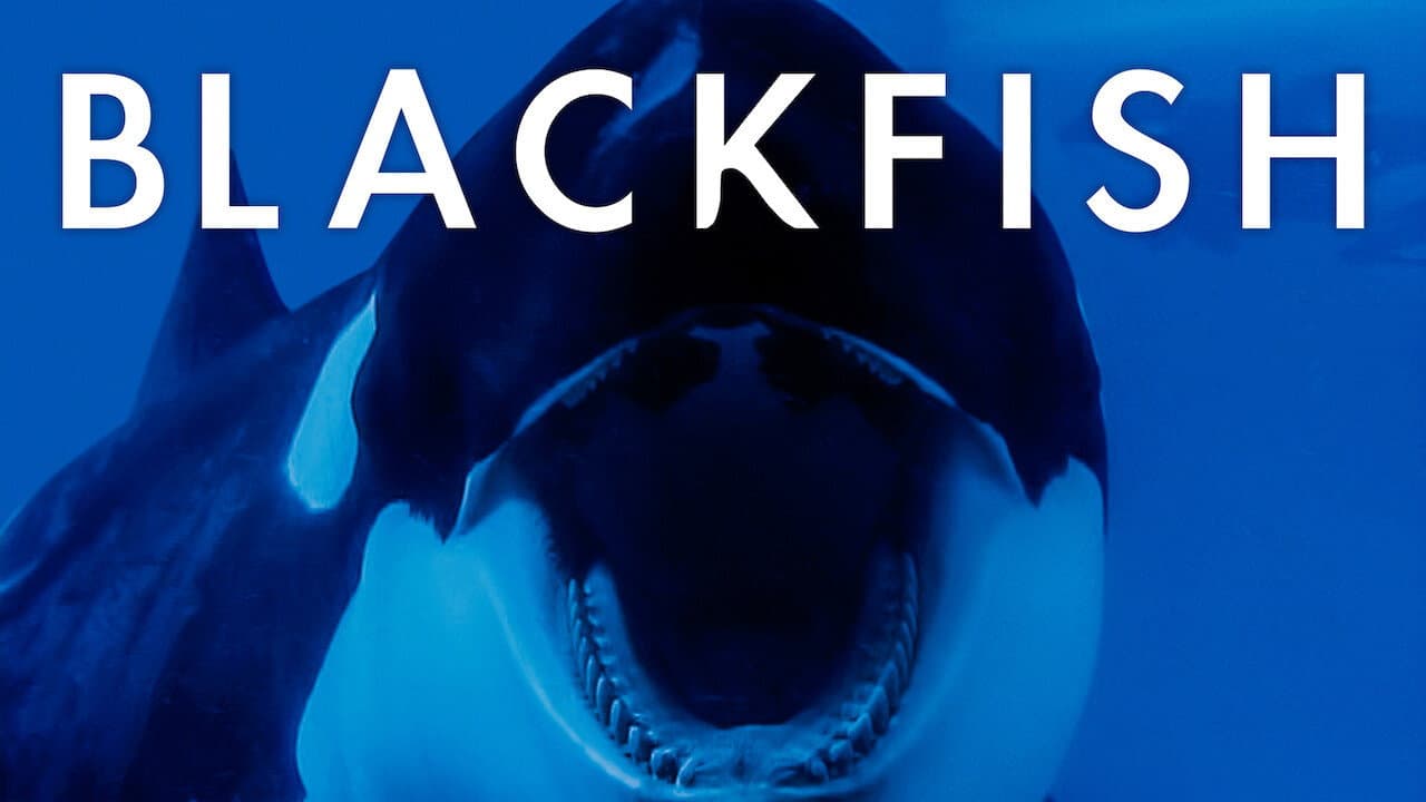 Blackfish still 6