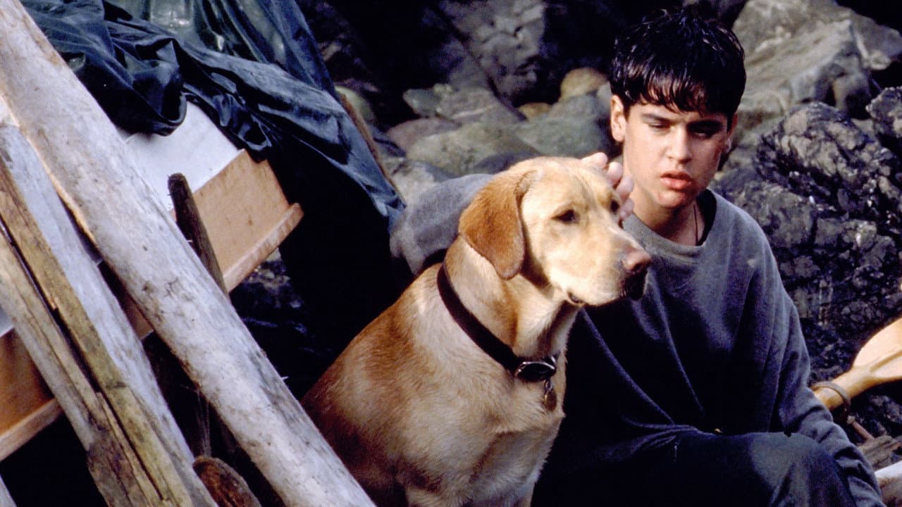 Far from Home: The Adventures of Yellow Dog still 3
