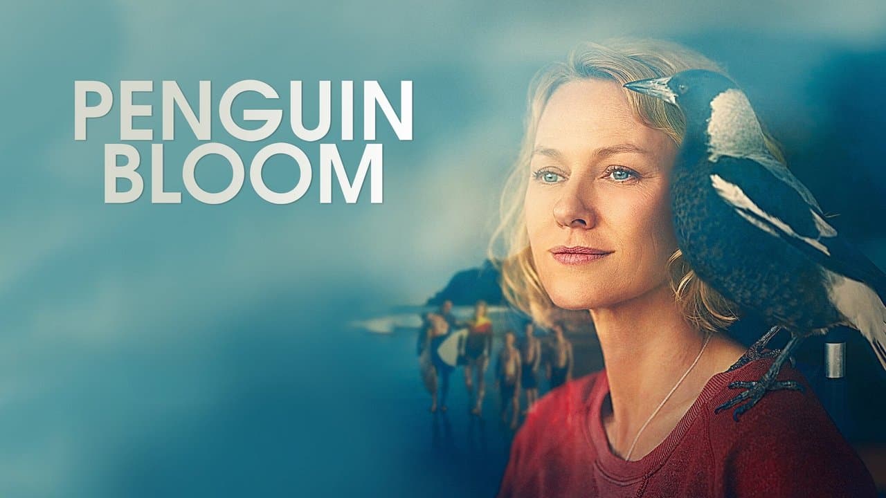 Penguin Bloom still 6