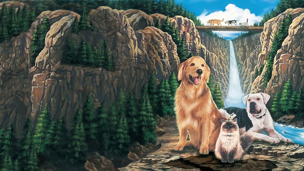 Homeward Bound: The Incredible Journey still 3