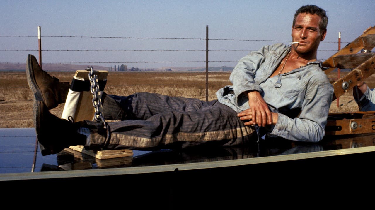 Cool Hand Luke still 8