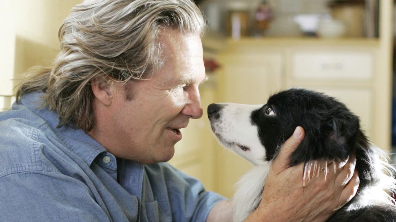 A Dog Year still 2