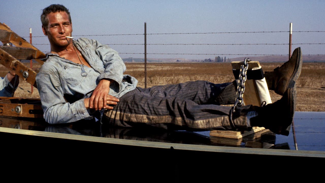 Cool Hand Luke still 7